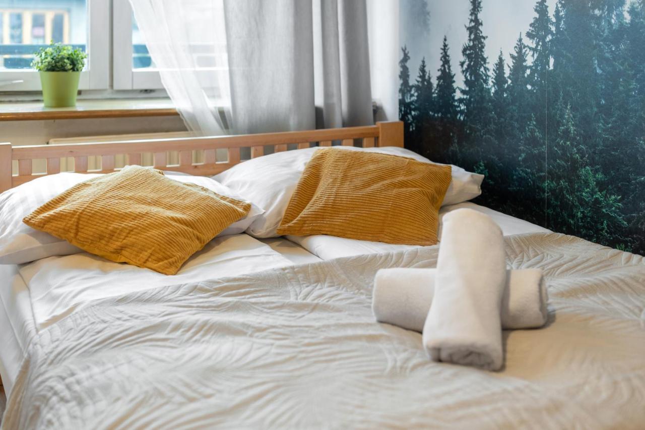 Apartament Rema W Centrum Apartzakop 자코파네 외부 사진
