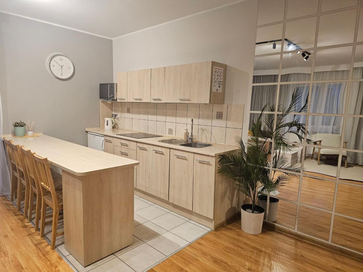 Apartament Rema W Centrum Apartzakop 자코파네 외부 사진