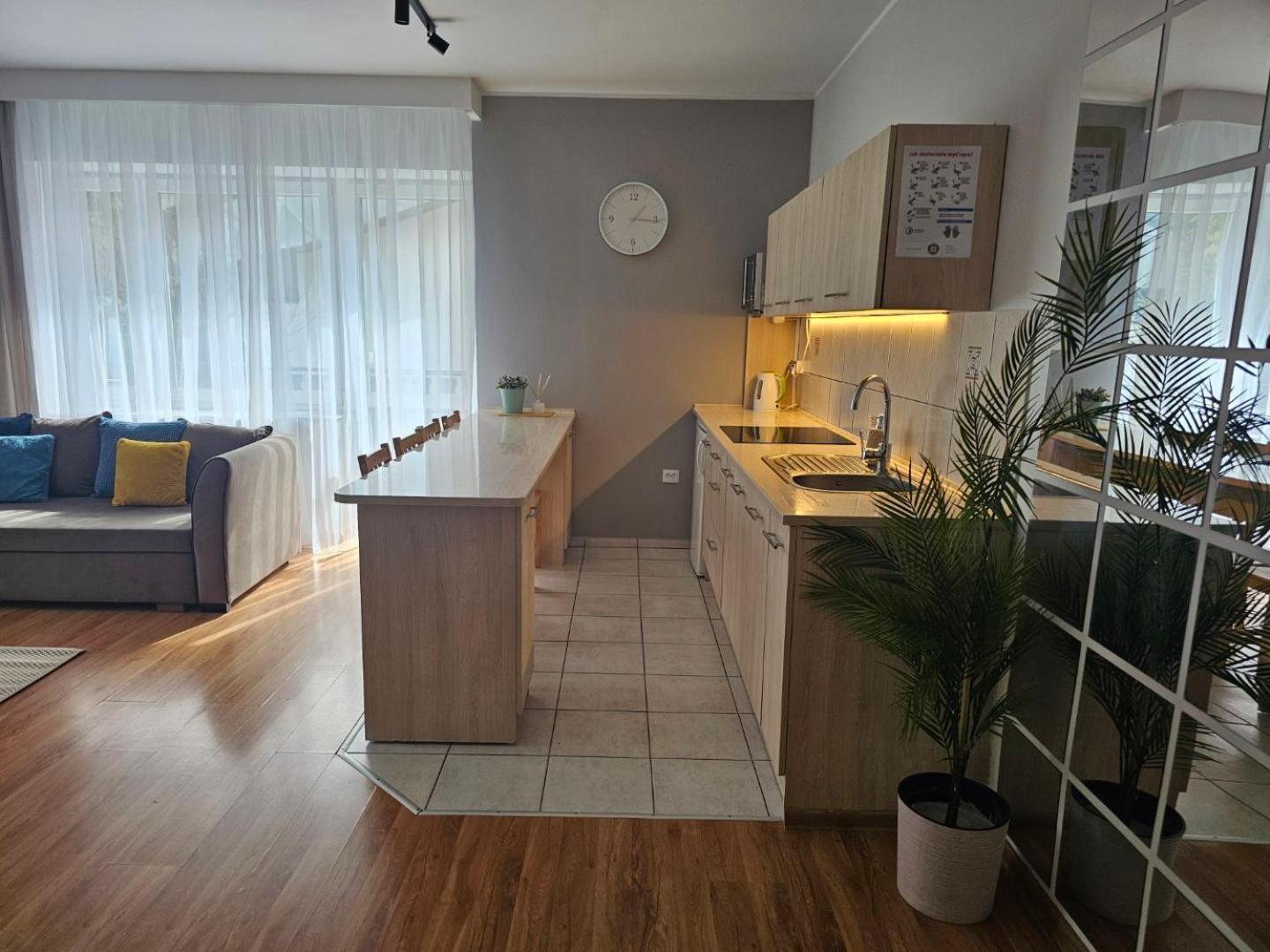 Apartament Rema W Centrum Apartzakop 자코파네 외부 사진