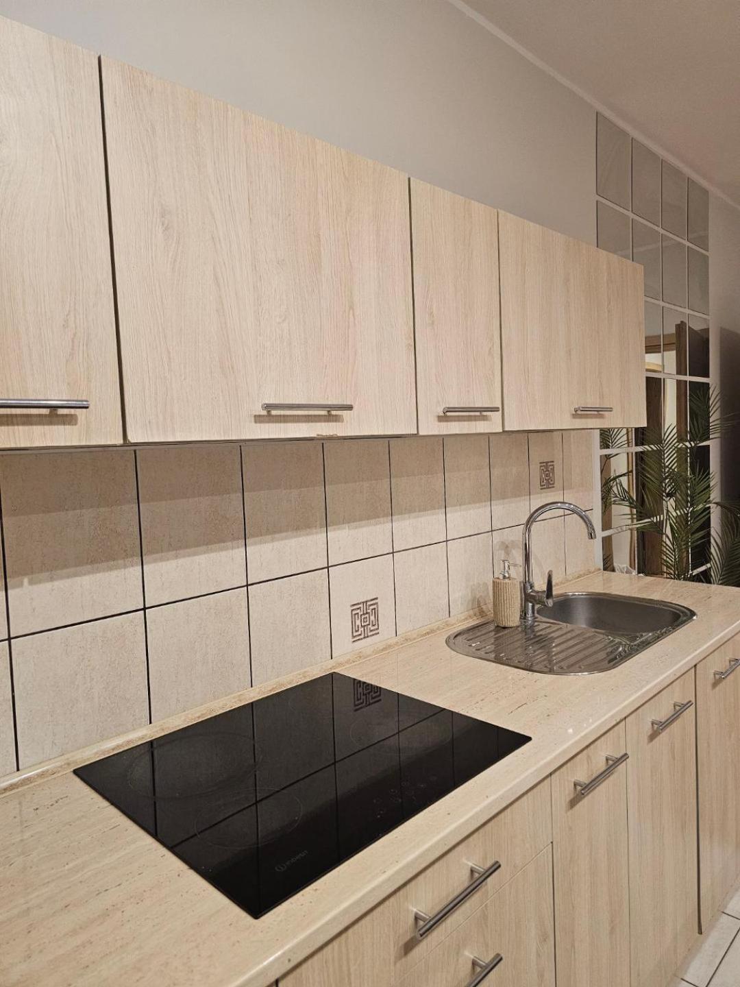 Apartament Rema W Centrum Apartzakop 자코파네 외부 사진
