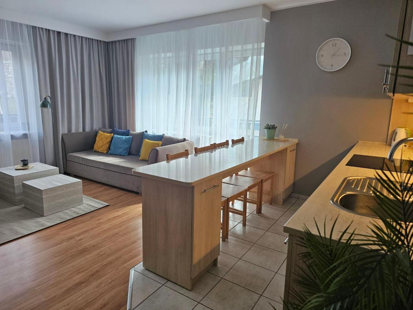 Apartament Rema W Centrum Apartzakop 자코파네 외부 사진