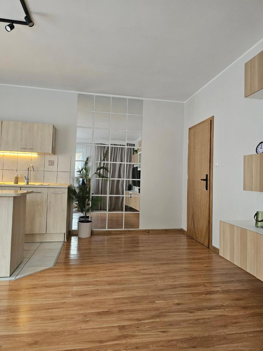 Apartament Rema W Centrum Apartzakop 자코파네 외부 사진