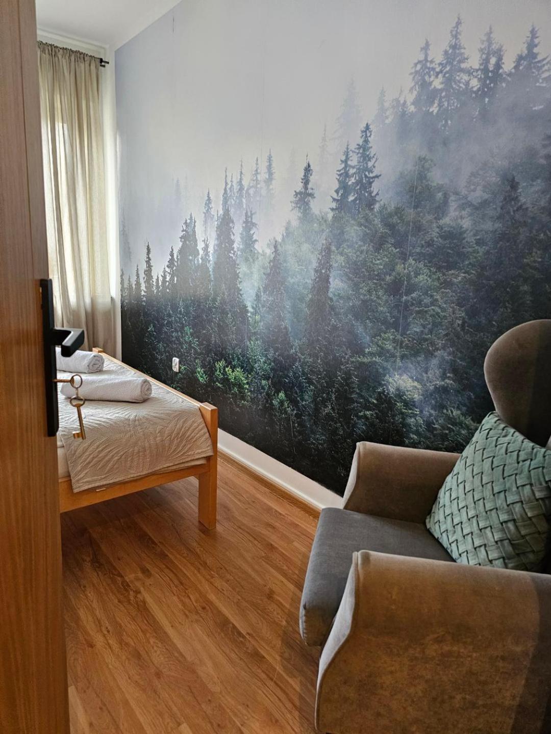 Apartament Rema W Centrum Apartzakop 자코파네 외부 사진